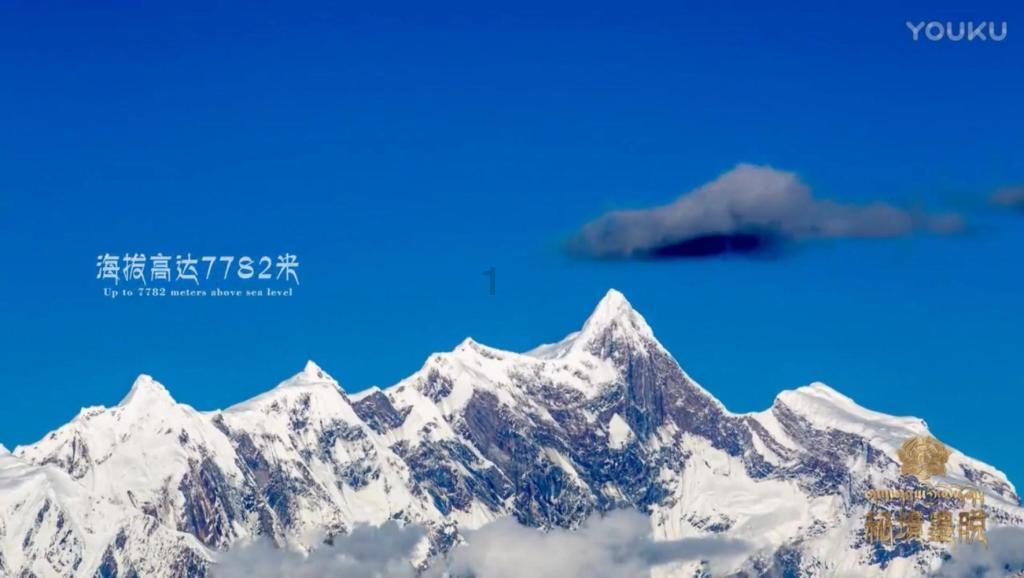 异形星球塔防
